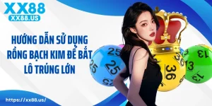 Hướng Dẫn Sử Dụng Rồng Bạch Kim Để Bắt Lô Trúng Lớn